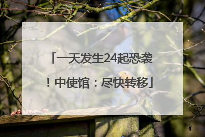 一天发生24起恐袭！中使馆：尽快转移