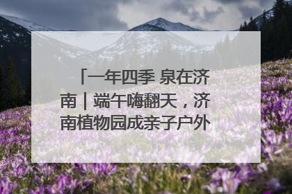 一年四季 泉在济南｜端午嗨翻天，济南植物园成亲子户外热门打卡地
