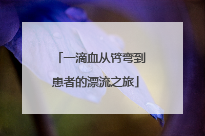 一滴血从臂弯到患者的漂流之旅