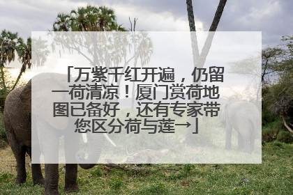 万紫千红开遍，仍留一荷清凉！厦门赏荷地图已备好，还有专家带您区分荷与莲→