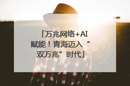 万兆网络+AI赋能！青海迈入“双万兆”时代