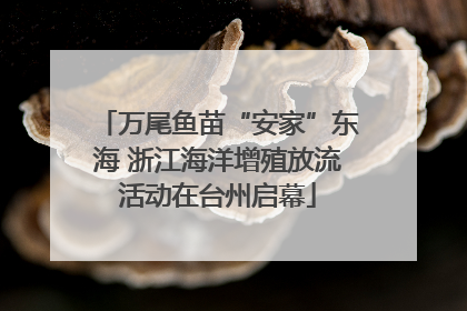 万尾鱼苗“安家”东海 浙江海洋增殖放流活动在台州启幕