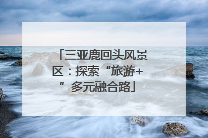 三亚鹿回头风景区：探索“旅游+”多元融合路