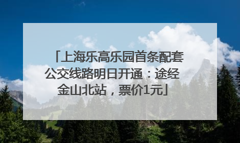 上海乐高乐园首条配套公交线路明日开通：途经金山北站，票价1元