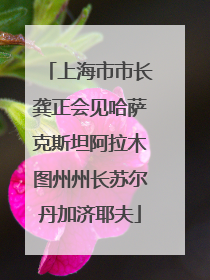 上海市市长龚正会见哈萨克斯坦阿拉木图州州长苏尔丹加济耶夫