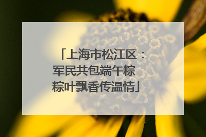 上海市松江区：军民共包端午粽 粽叶飘香传温情