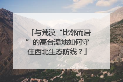 与荒漠“比邻而居”的高台湿地如何守住西北生态防线？