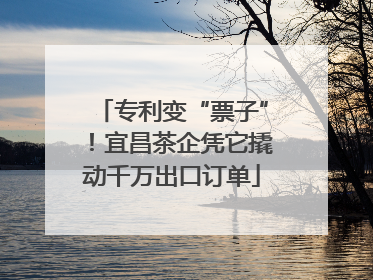 专利变“票子”！宜昌茶企凭它撬动千万出口订单