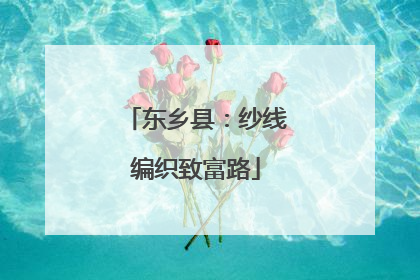 东乡县：纱线编织致富路