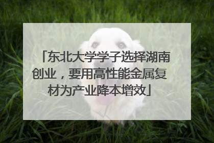 东北大学学子选择湖南创业，要用高性能金属复材为产业降本增效