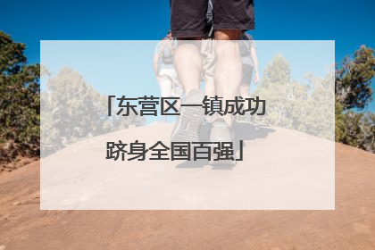 东营区一镇成功跻身全国百强