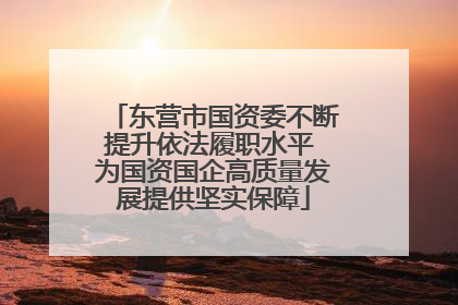 东营市国资委不断提升依法履职水平 为国资国企高质量发展提供坚实保障