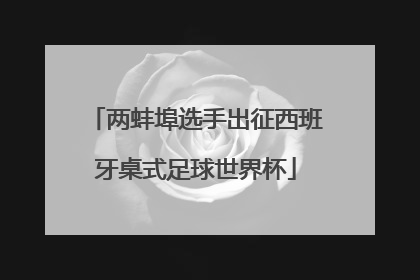 两蚌埠选手出征西班牙桌式足球世界杯