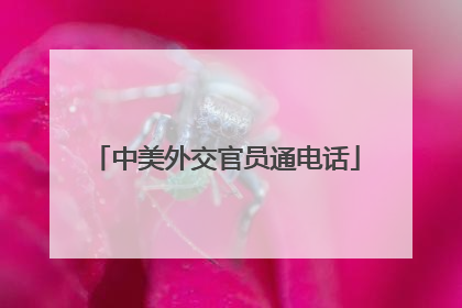 中美外交官员通电话