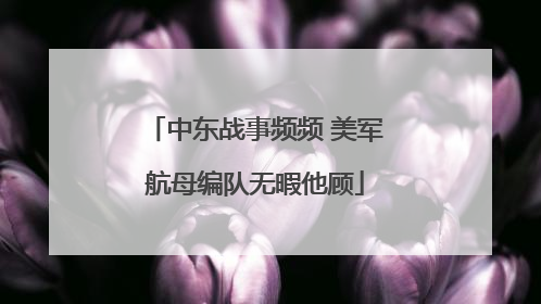 中东战事频频 美军航母编队无暇他顾