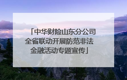 中华财险山东分公司全省联动开展防范非法金融活动专题宣传