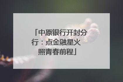 中原银行开封分行：点金融星火 照青春前程