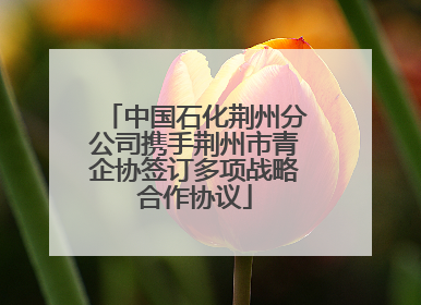 中国石化荆州分公司携手荆州市青企协签订多项战略合作协议