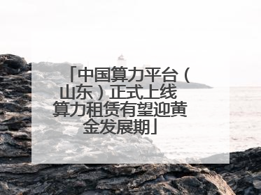 中国算力平台（山东）正式上线 算力租赁有望迎黄金发展期