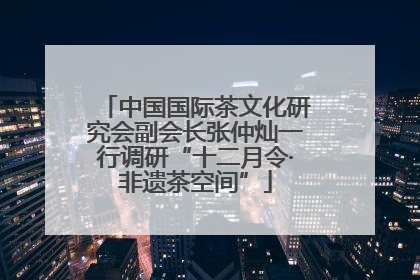 中国国际茶文化研究会副会长张仲灿一行调研“十二月令·非遗茶空间”