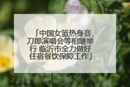 中国女篮热身赛、刀郎演唱会等相继举行 临沂市全力做好住宿餐饮保障工作