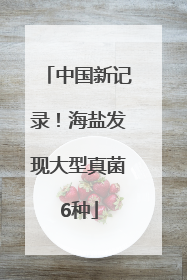 中国新记录！海盐发现大型真菌6种