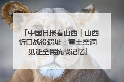 中国日报看山西｜山西忻口战役遗址：黄土窑洞见证全民抗战记忆