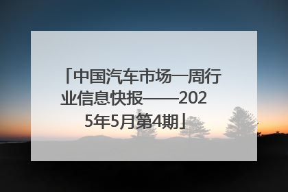中国汽车市场一周行业信息快报——2025年5月第4期