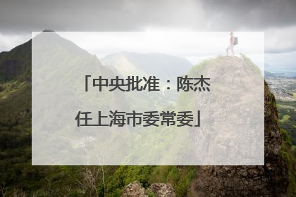 中央批准：陈杰任上海市委常委