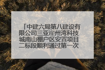 中建六局第八建设有限公司三亚崖州湾科技城南山棚户区安置项目二标段顺利通过第一次主体结构验收