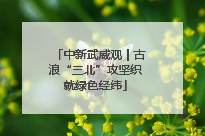 中新武威观｜古浪“三北”攻坚织就绿色经纬