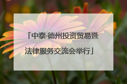 中泰·德州投资贸易暨法律服务交流会举行