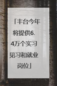 丰台今年将提供6.4万个实习见习和就业岗位