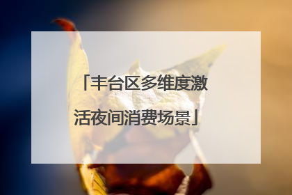 丰台区多维度激活夜间消费场景