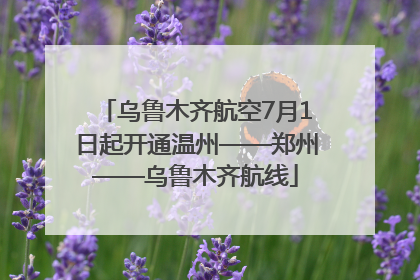 乌鲁木齐航空7月1日起开通温州——郑州——乌鲁木齐航线