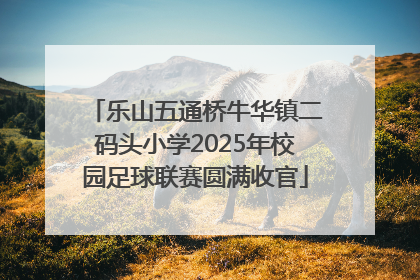 乐山五通桥牛华镇二码头小学2025年校园足球联赛圆满收官