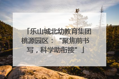 乐山城北幼教育集团桃源园区：“聚焦前书写，科学助衔接”