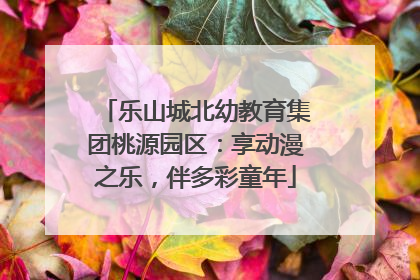 乐山城北幼教育集团桃源园区：享动漫之乐，伴多彩童年