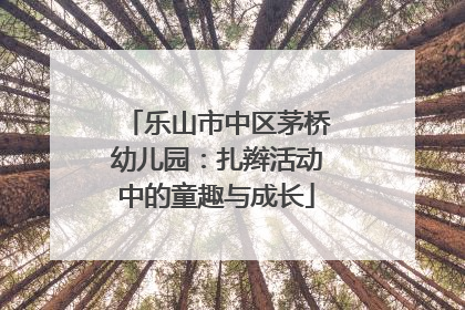 乐山市中区茅桥幼儿园：扎辫活动中的童趣与成长