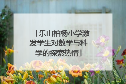 乐山柏杨小学激发学生对数学与科学的探索热情