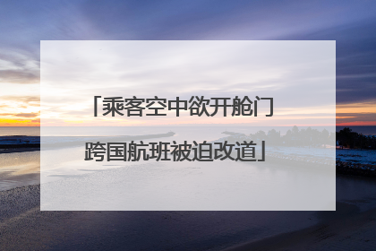 乘客空中欲开舱门 跨国航班被迫改道