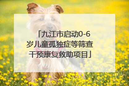 九江市启动0-6岁儿童孤独症等筛查干预康复救助项目