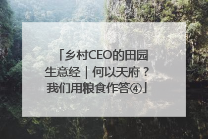 乡村CEO的田园生意经｜何以天府？我们用粮食作答④