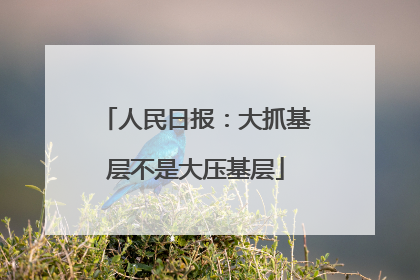 人民日报：大抓基层不是大压基层
