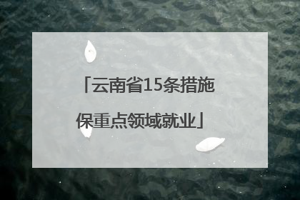 云南省15条措施保重点领域就业
