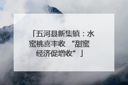 五河县新集镇：水蜜桃喜丰收 “甜蜜经济促增收”