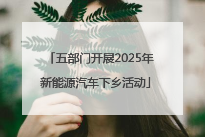 五部门开展2025年新能源汽车下乡活动
