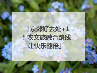 京郊好去处+1！农文旅融合路线让快乐翻倍