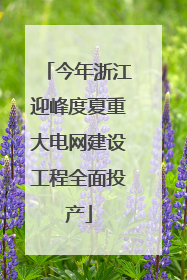 今年浙江迎峰度夏重大电网建设工程全面投产