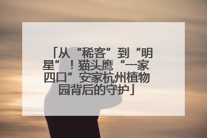 从“稀客”到“明星”！猫头鹰“一家四口”安家杭州植物园背后的守护